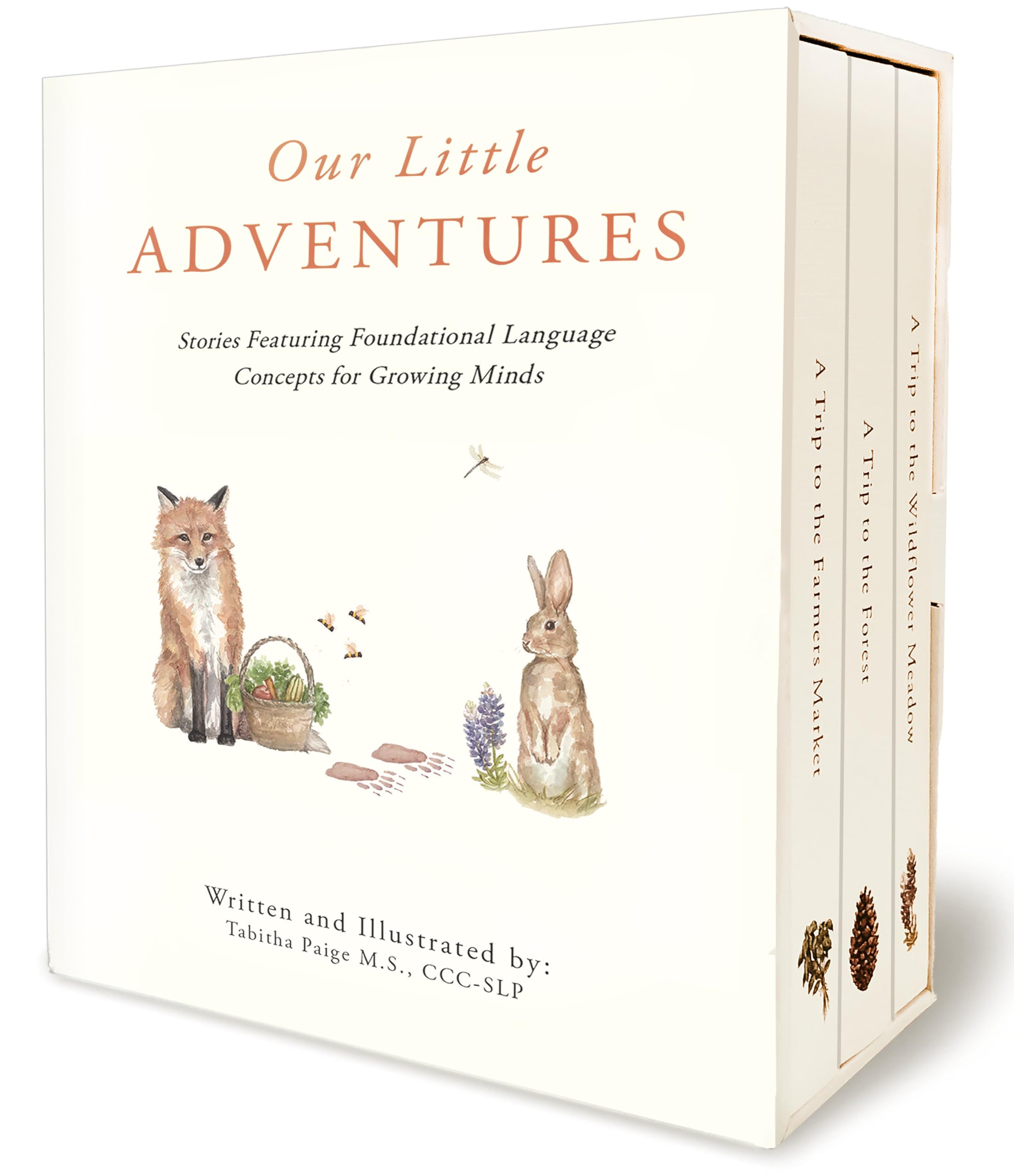 Our Little Adventures: Stories Featuring Foundational Language Concepts for Growing Minds (Our Little Adventures Series),Used