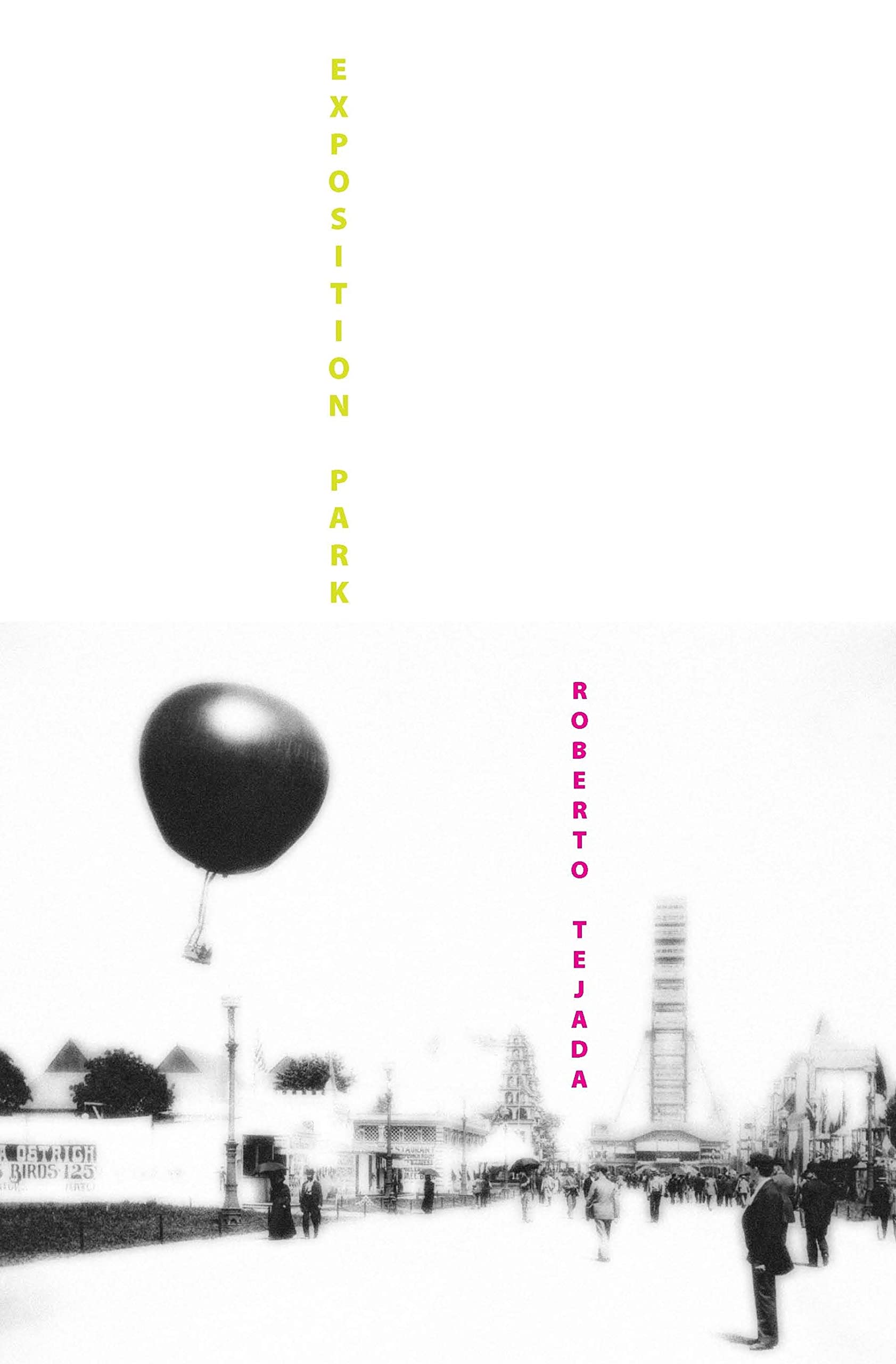 Exposition Park (The Driftless Series & Wesleyan Film Series),Used