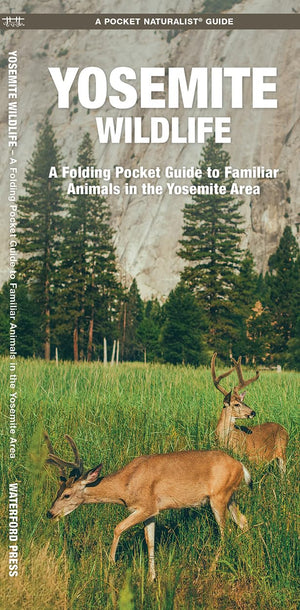 Yosemite Wildlife: A Folding Pocket Guide to Familiar Animals in the Yosemite Area (Wildlife and Nature Identification),Used