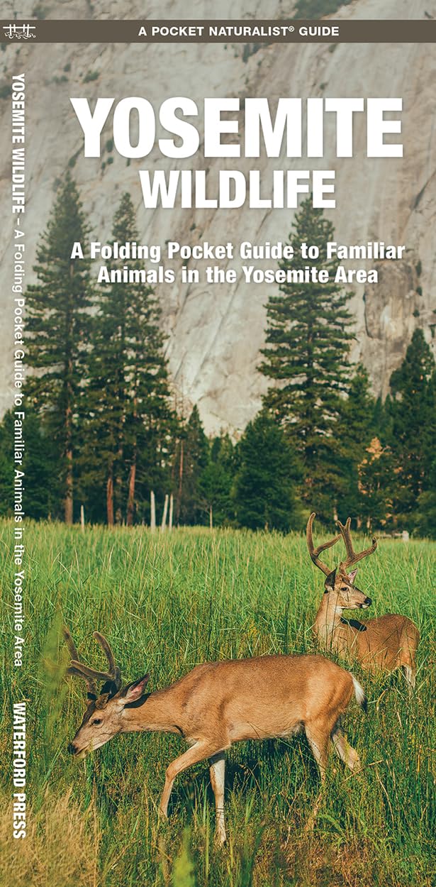 Yosemite Wildlife: A Folding Pocket Guide to Familiar Animals in the Yosemite Area (Wildlife and Nature Identification),Used