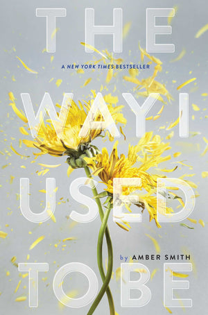 The Way I Used to Be,Used