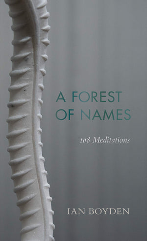 A Forest of Names: 108 Meditations (Wesleyan Poetry Series),Used