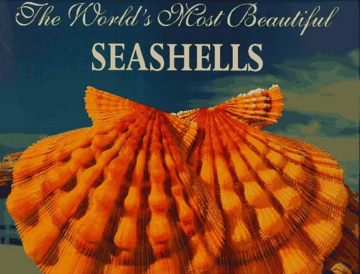 The World's Most Beautiful Seashells (Worlds Most Series),Used