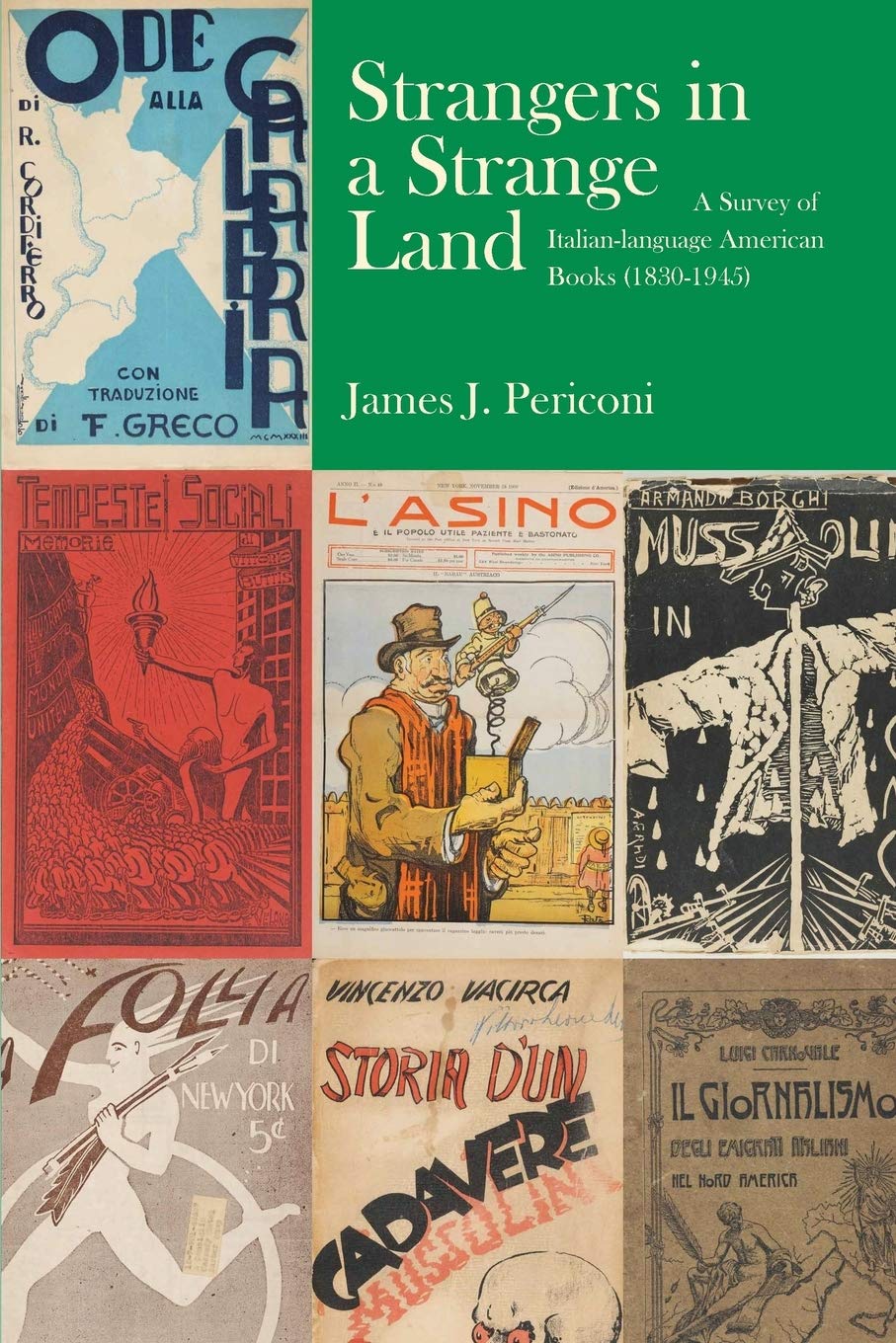 Strangers In A Strange Land: A Survey Of Italianlanguage American Books (18301945) (Via Folios),Used