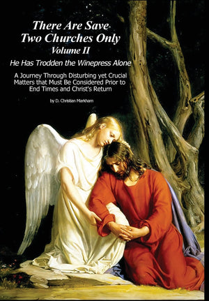 There Are Save Two Churches Only, Volume II,Used