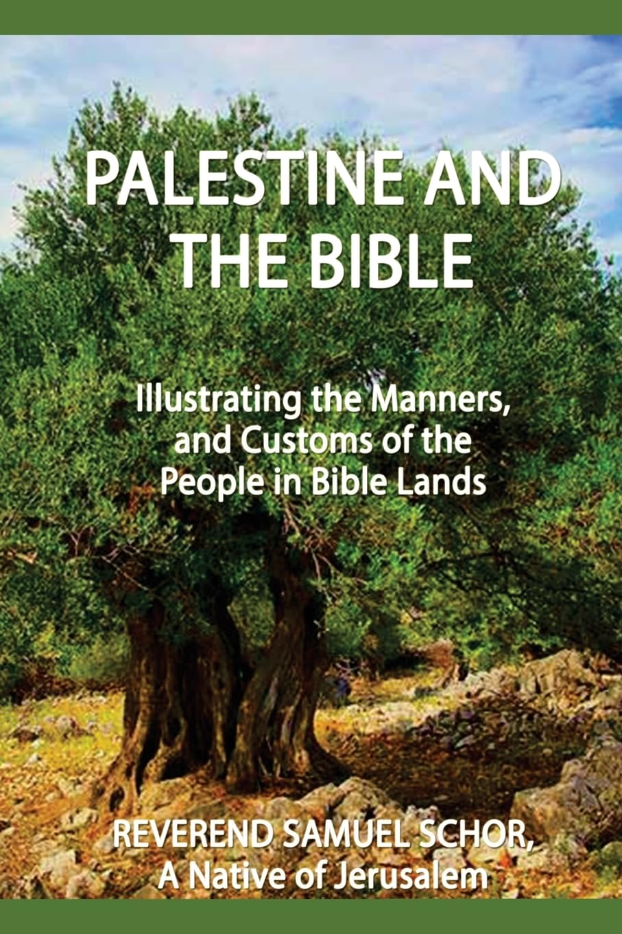 Palestine and the Bible: Illustrating the Manners, and Customs of the People in Bible Lands,Used