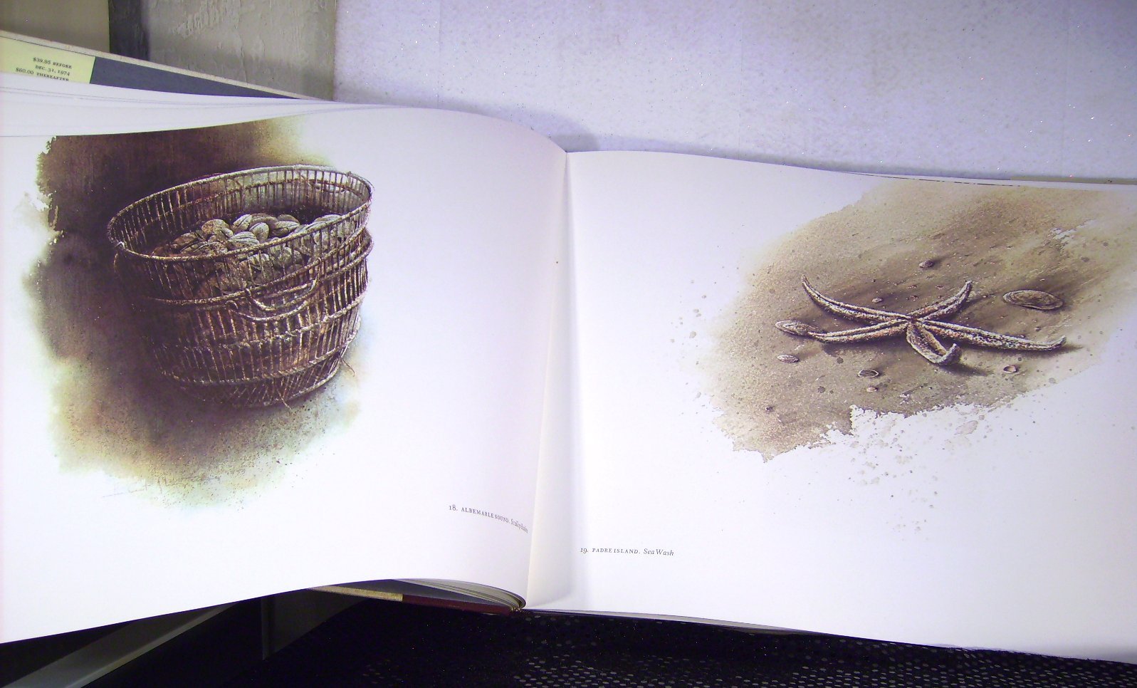 Jericho: The South Beheld,New