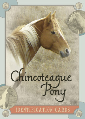 Chincoteague Pony Identification Cards,Used