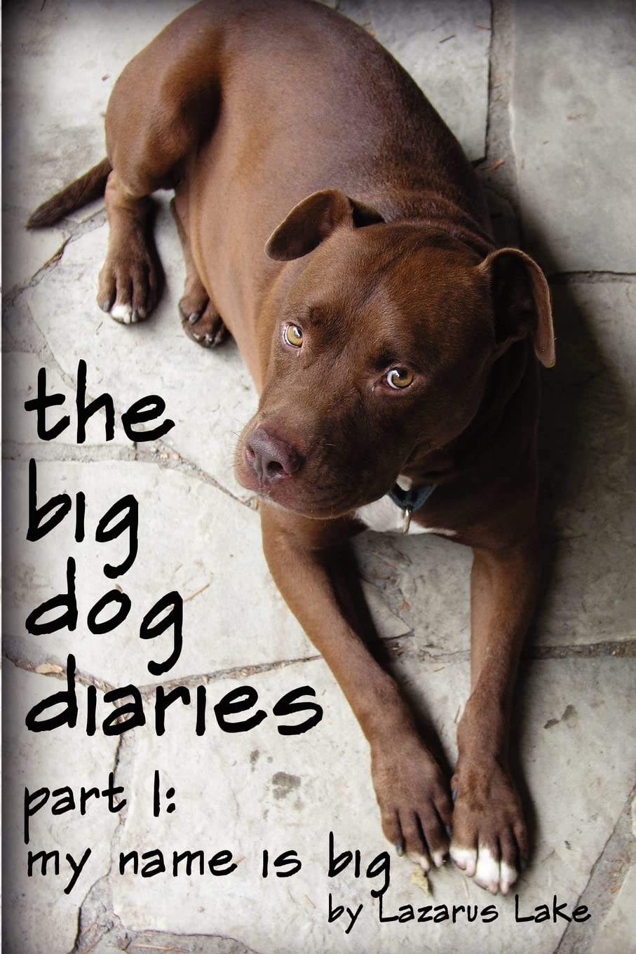 My Name is Big: The Search For a Home For a Pit Bull Rescue Dog,Used