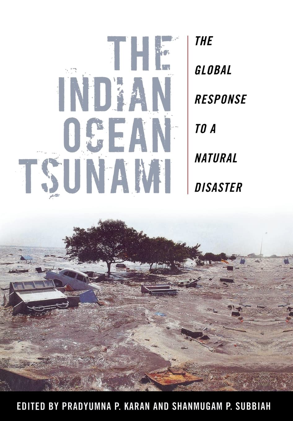 The Indian Ocean Tsunami: The Global Response To A Natural Disaster,Used