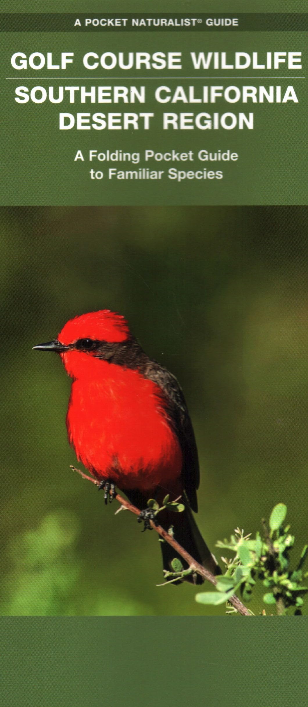 Golf Course Wildlife, Southern California Desert Region: A Folding Pocket Guide to Familiar Species (Wildlife and Nature Identif,Used