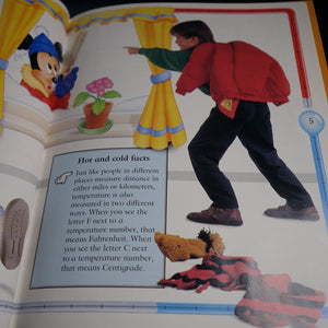 Can you really fry an egg on a stone? (Mickey wonders why),Used