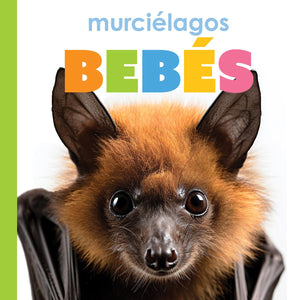 MURCIELAGOS BEBES
