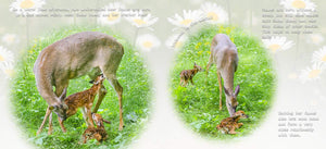 Snow Bunny the Deer Children's Book,Used