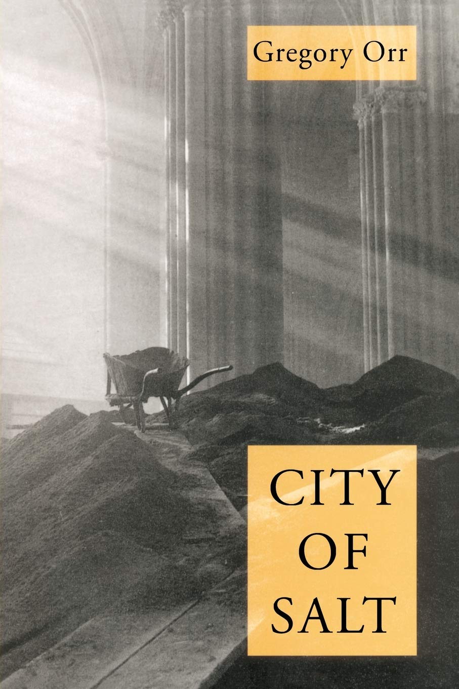 City Of Salt (Pitt Poetry Series),Used