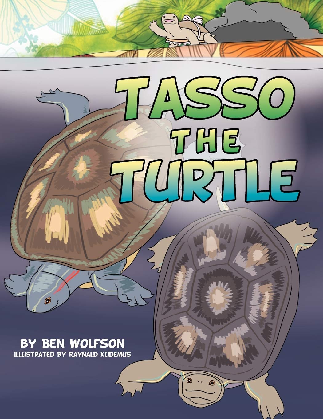 Tasso The Turtle,Used