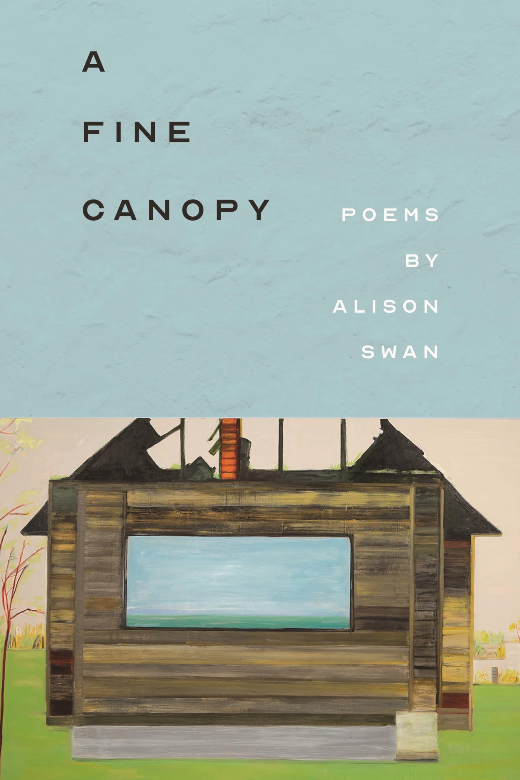 A Fine Canopy (Made In Michigan Writer Series),Used