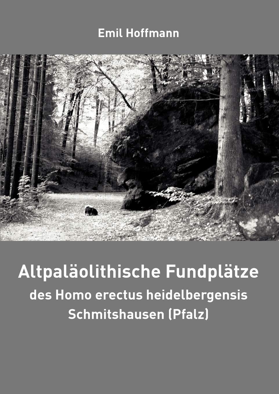 Altpalolithische Fundpltze des Homo erectus heidelbergensis Schmitshausen (Pfalz) (German Edition),Used