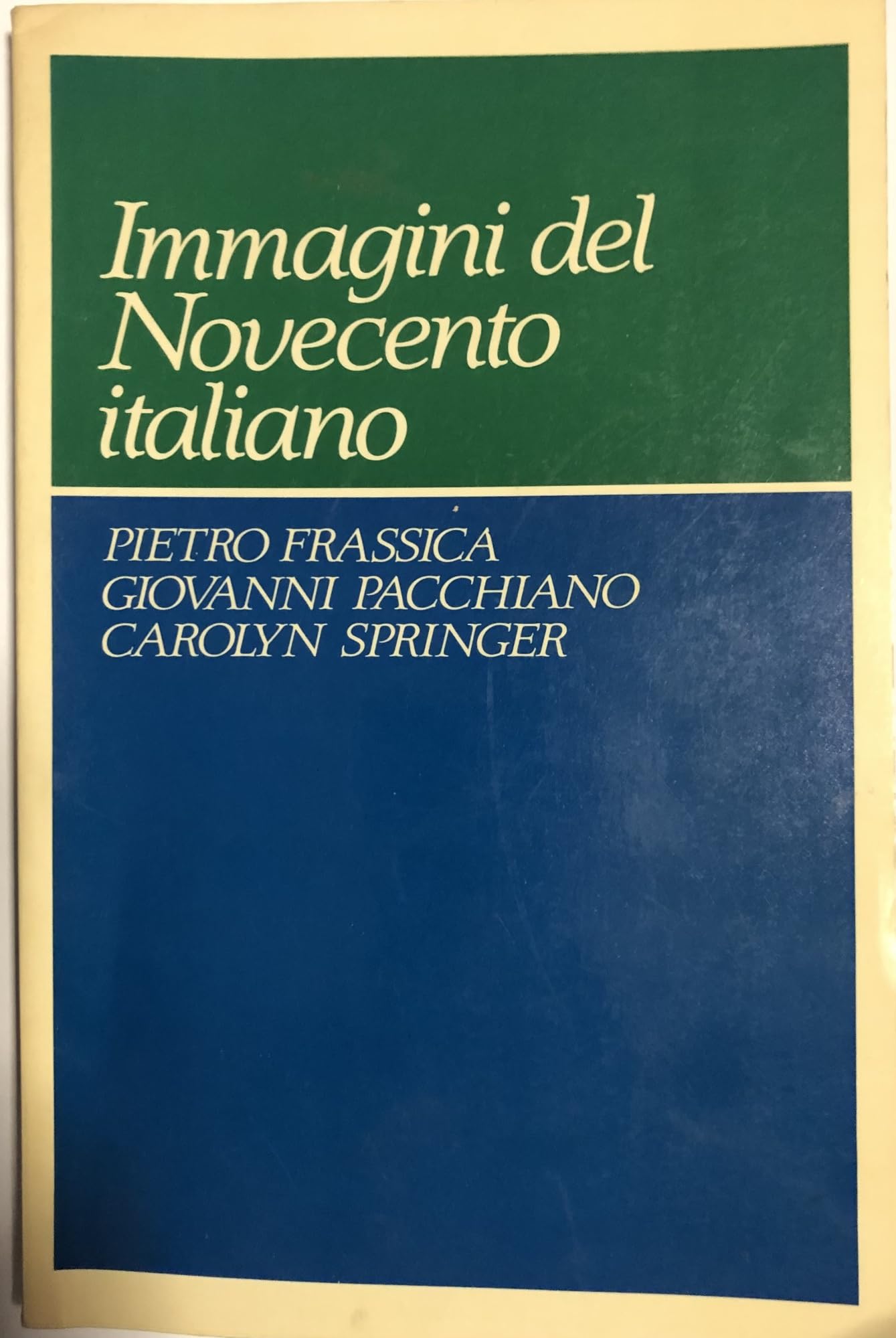 Immagini del Novecento italiano (Italian Edition),Used