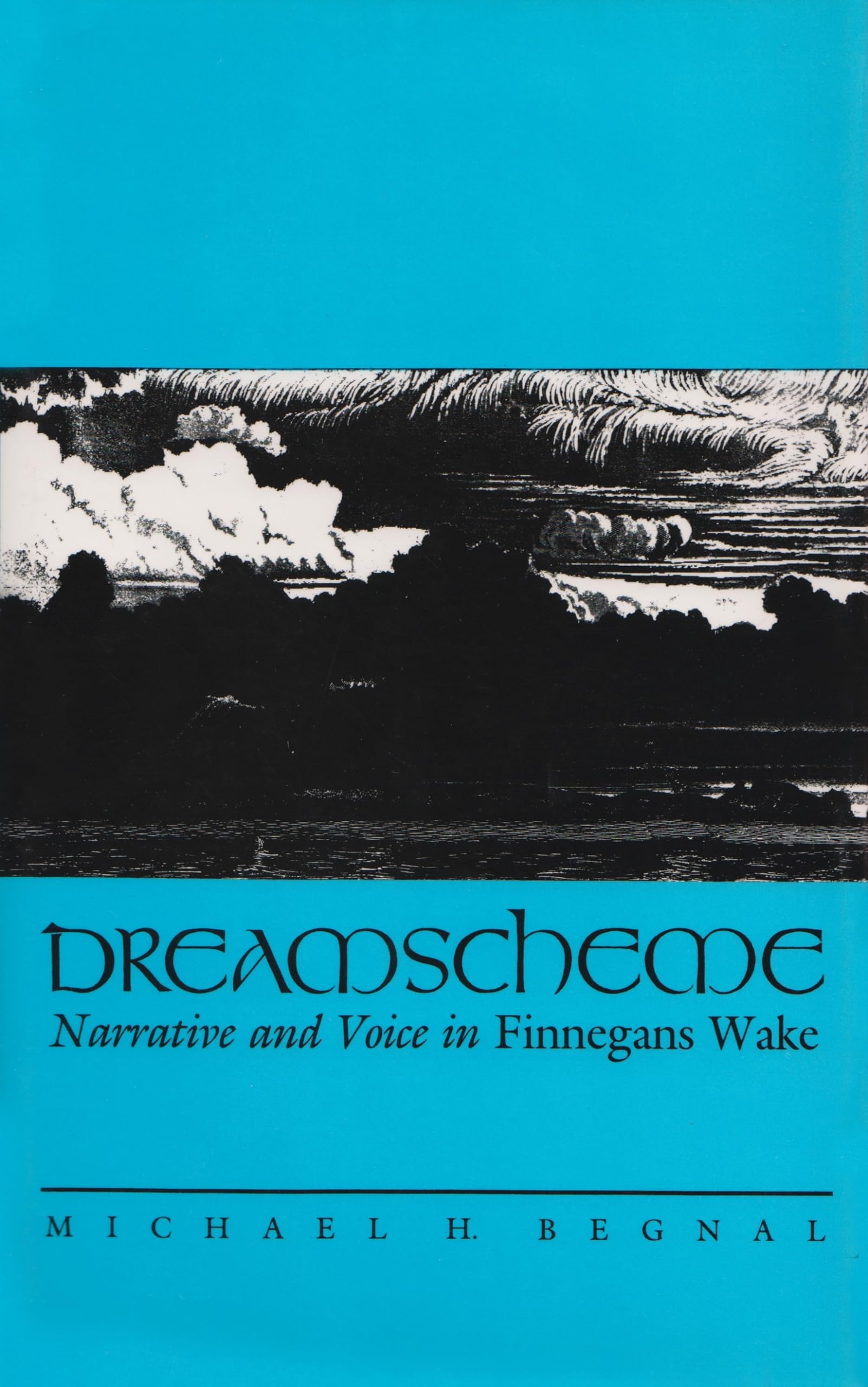 Dreamscheme: Narrative and Voice in Finnegans Wake (Irish Studies),Used