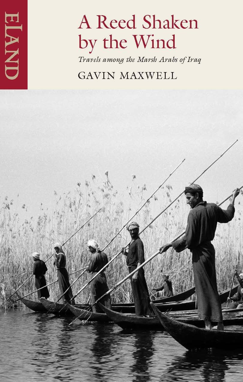 A Reed Shaken by the Wind: Travels Among the Marsh Arabs of Iraq,Used