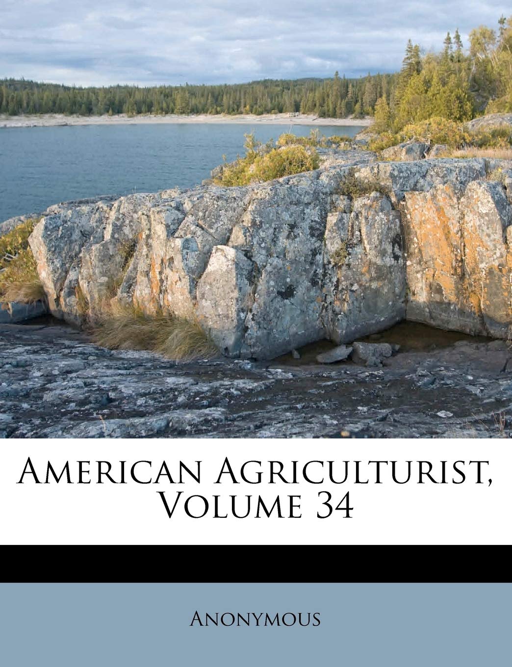 American Agriculturist, Volume 34,Used
