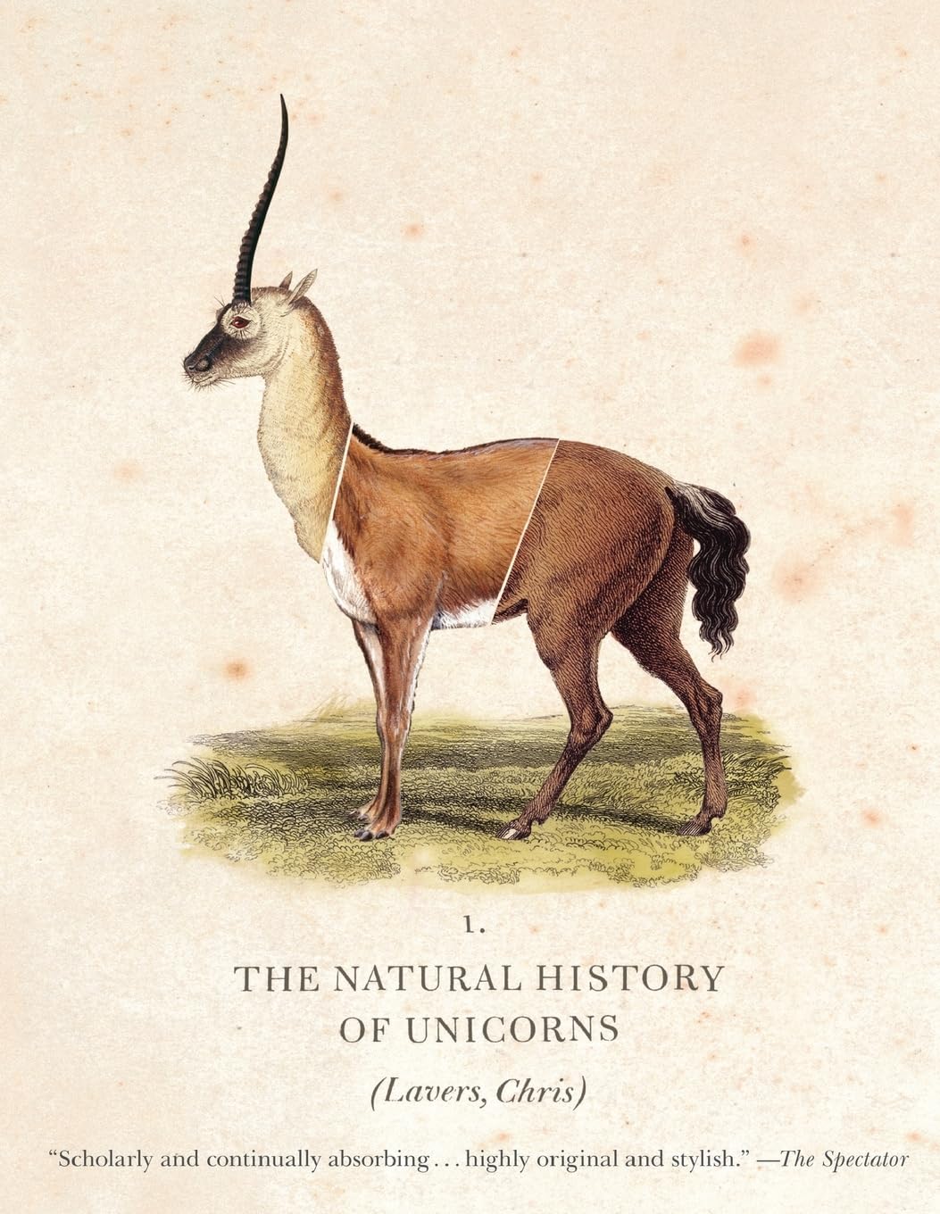 The Natural History of Unicorns,Used