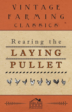 Rearing the Laying Pullet,Used