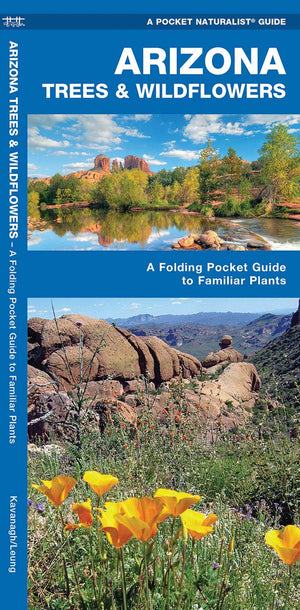 Arizona Trees & Wildflowers: A Folding Pocket Guide to Familiar Plants (Wildlife and Nature Identification),Used