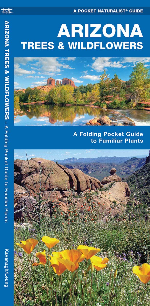 Arizona Trees & Wildflowers: A Folding Pocket Guide to Familiar Plants (Wildlife and Nature Identification),Used