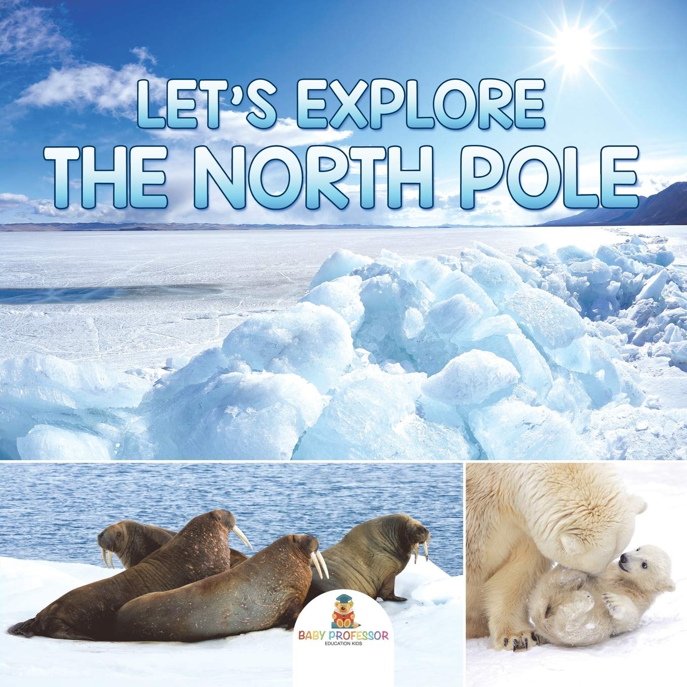 Let's Explore the North Pole,Used