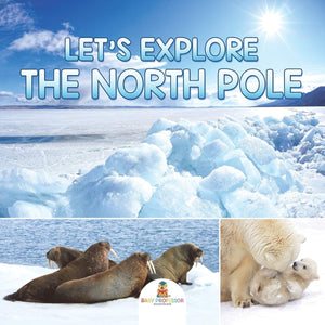 Let's Explore the North Pole,Used