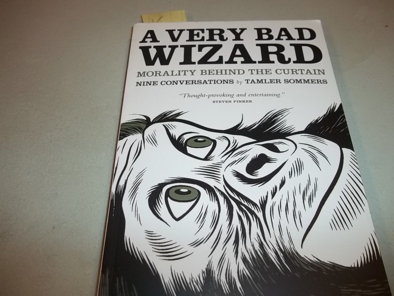 A Very Bad Wizard: Morality Behind The Curtain,New
