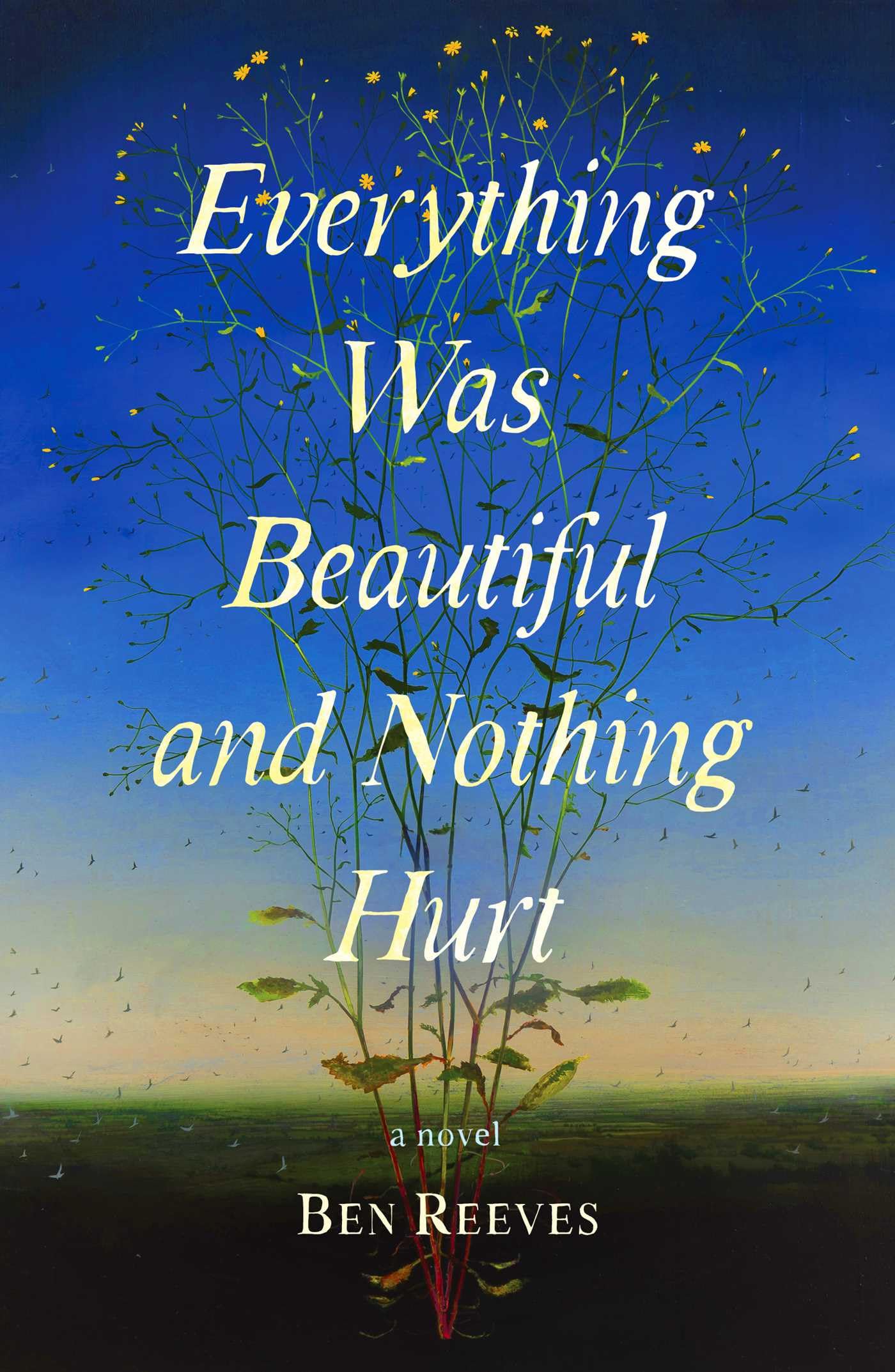 Everything Was Beautiful And Nothing Hurt: A Novel