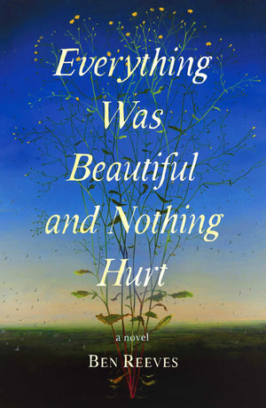 Everything Was Beautiful And Nothing Hurt: A Novel
