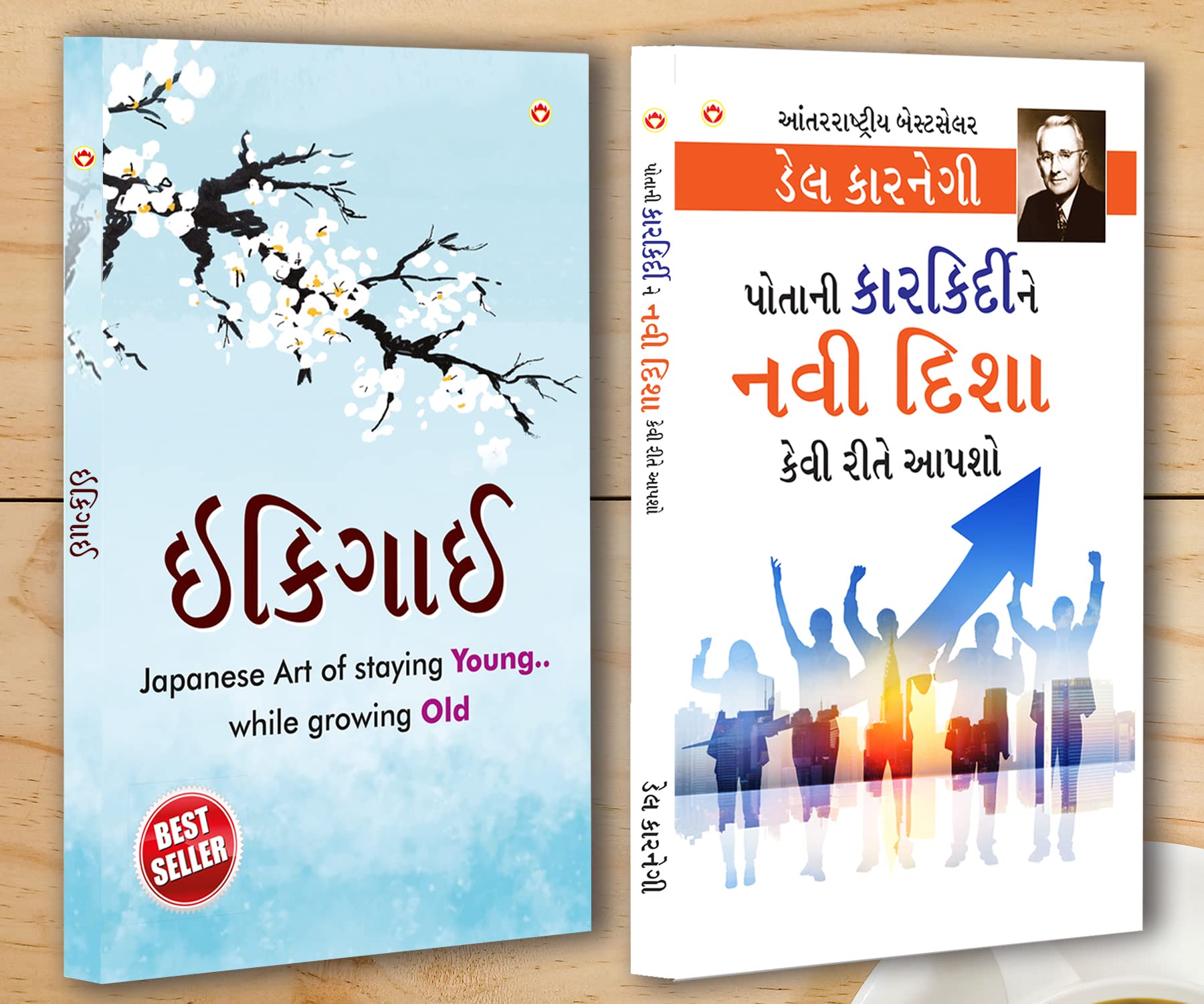Best Motivational Books In Gujarati - Ikigai + Apne Career Ko Nai Disha Kaise Den