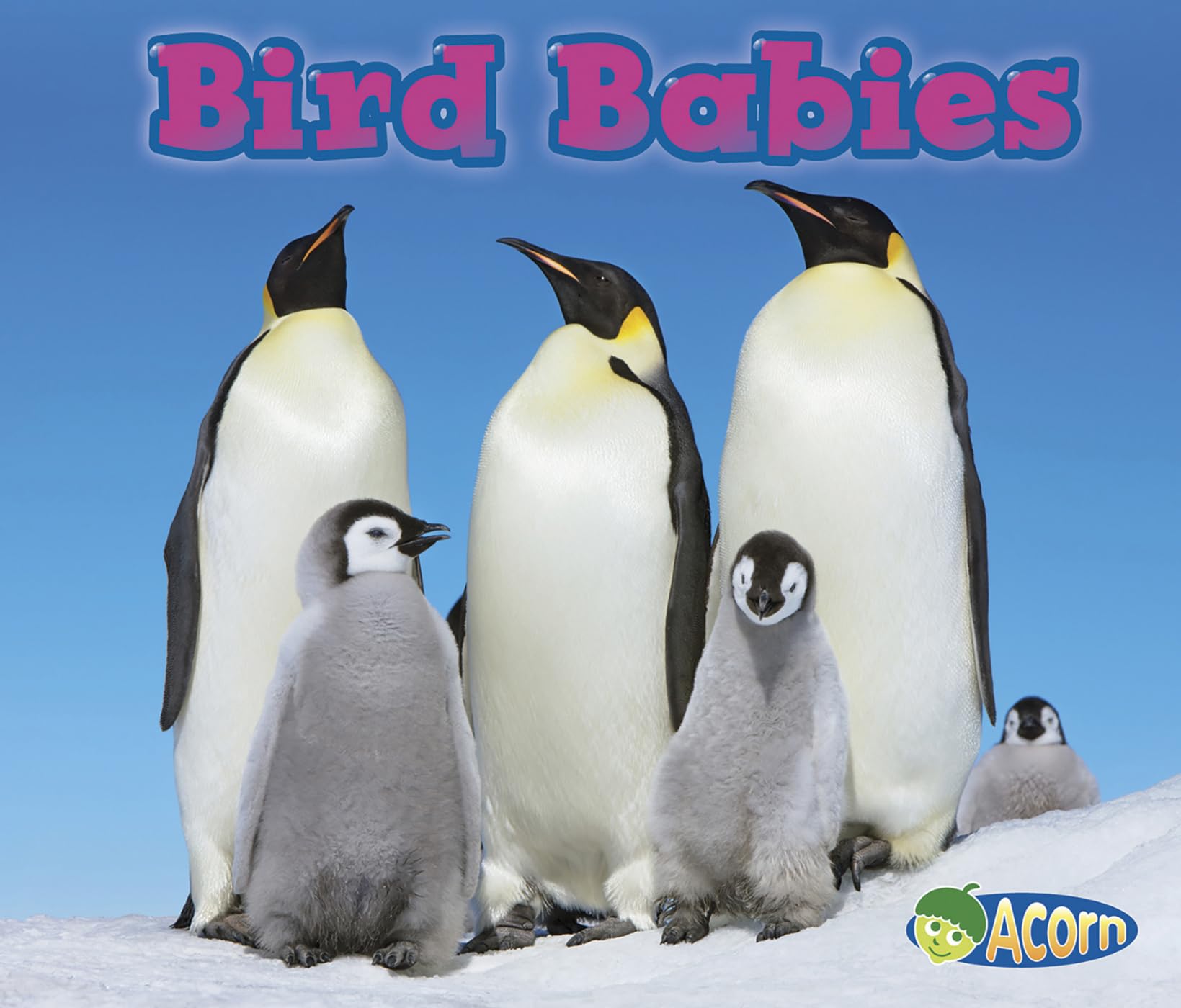 Bird Babies (Acorn),Used