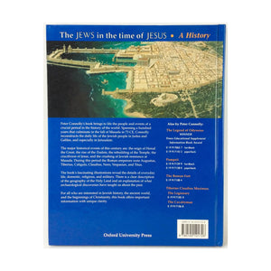 The Jews in the Time of Jesus: A History (Rebuilding the Past),Used