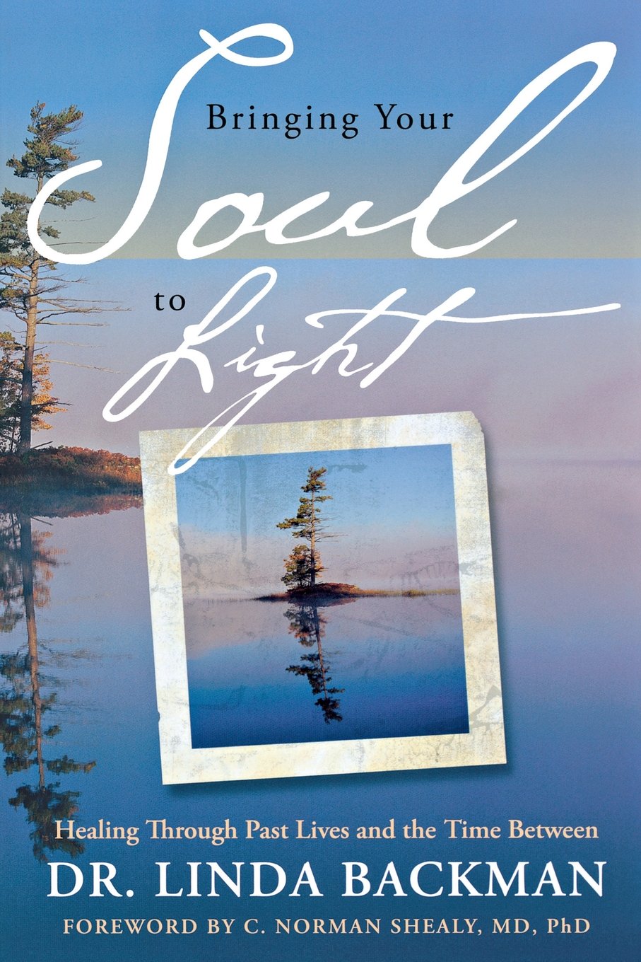 Bringing Your Soul To Light: Healing Through Past Lives And The Time Between,Used