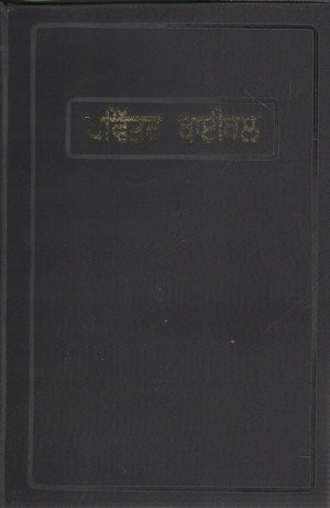 Punjabi Holy Bible (Punjabi Edition)