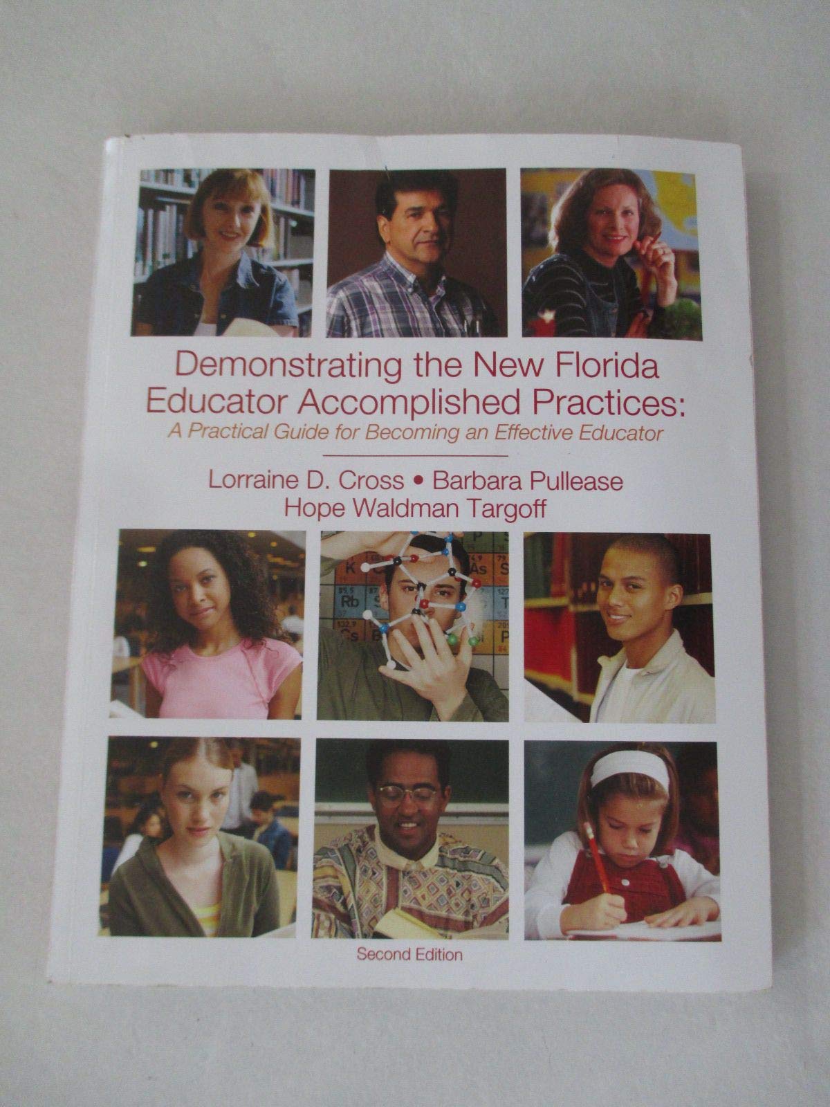 Demonstrating the New Florida Educator Accomplished Practices: A Practical Guide for Becoming an Effective Educator, 2nd Edition,Used