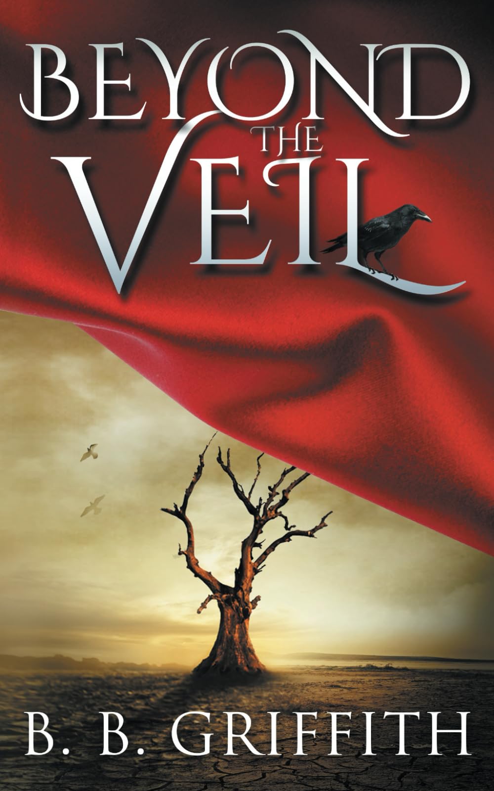Beyond The Veil (Vanished, #2)