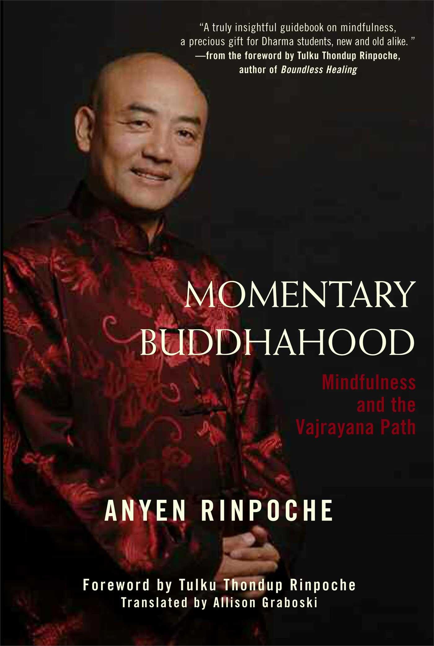Momentary Buddhahood: Mindfulness And The Vajrayana Path,Used