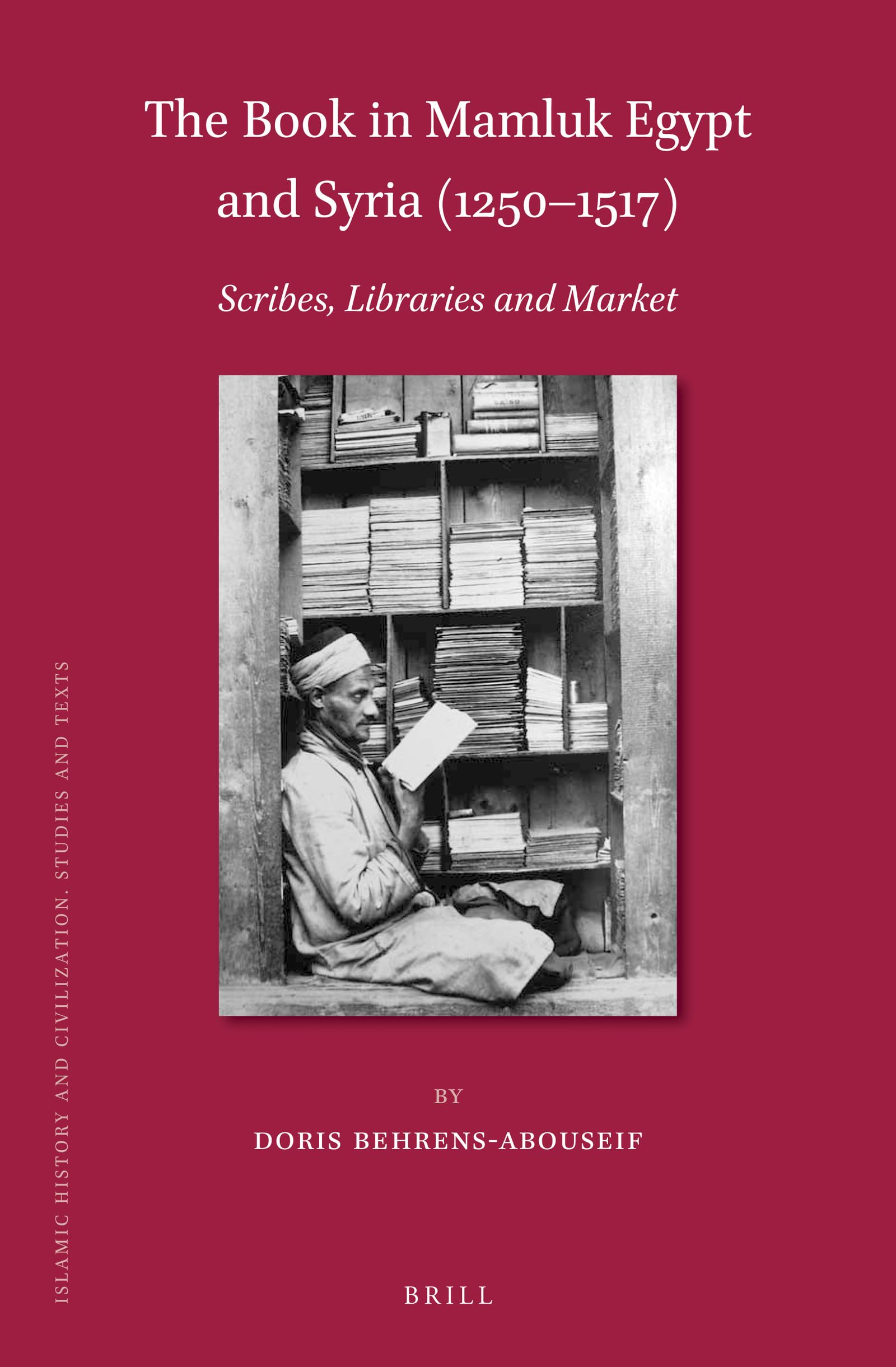 The Book in Mamluk Egypt and Syria (12501517) (Islamic History and Civilization, 162),Used