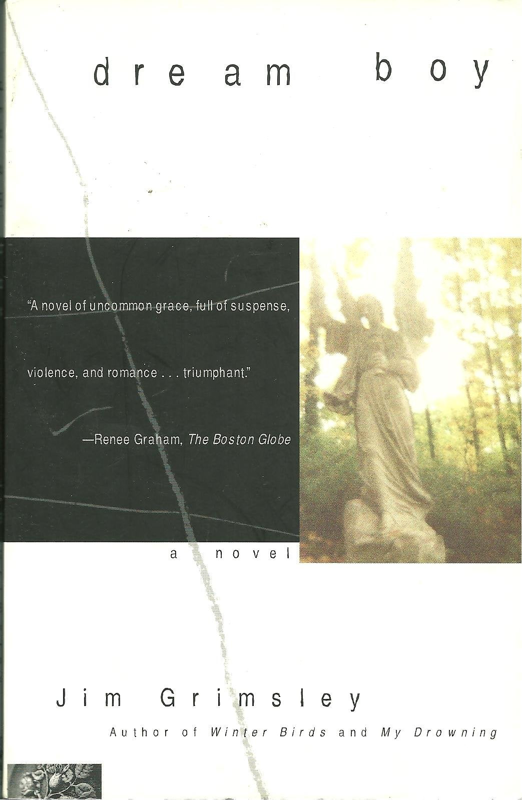 Dream Boy: A Novel,Used