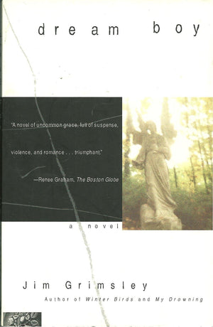 Dream Boy: A Novel,Used