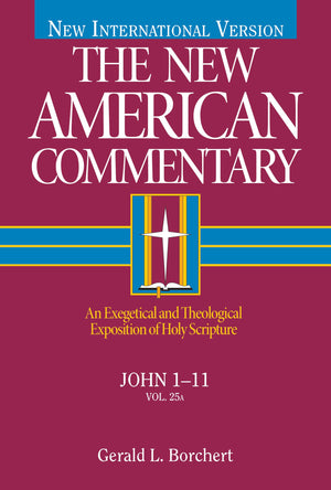 John 111: An Exegetical and Theological Exposition of Holy Scripture (Volume 25) (The New American Commentary)