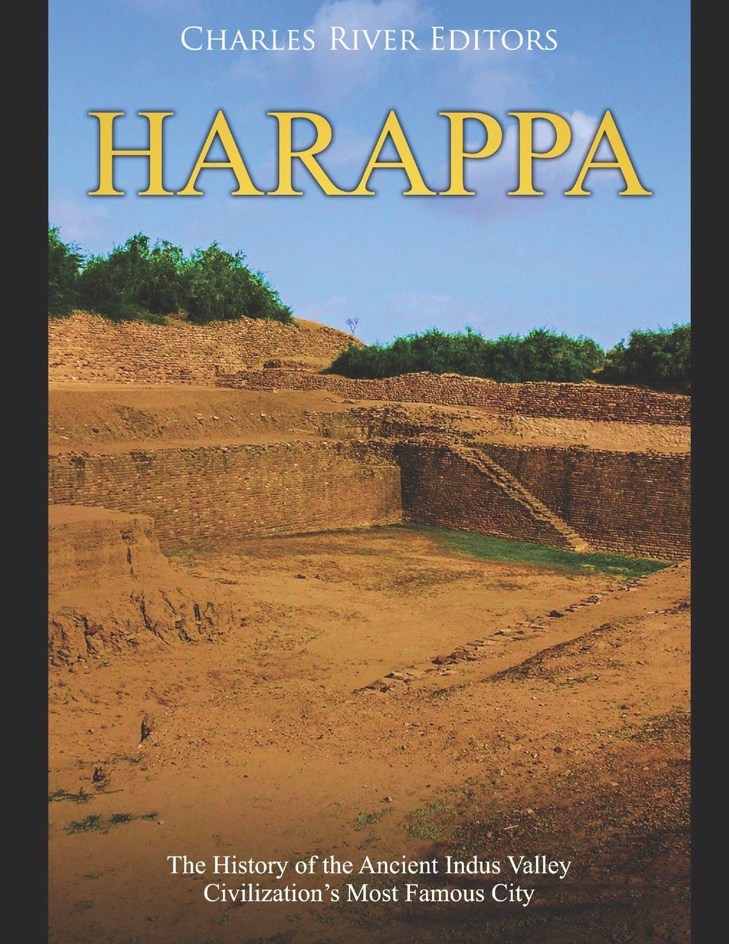 Harappa: The History of the Ancient Indus Valley Civilizations Most Famous City,Used