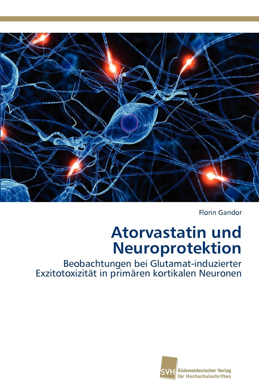 Atorvastatin und Neuroprotektion: Beobachtungen bei Glutamatinduzierter Exzitotoxizitt in primren kortikalen Neuronen (German E,Used