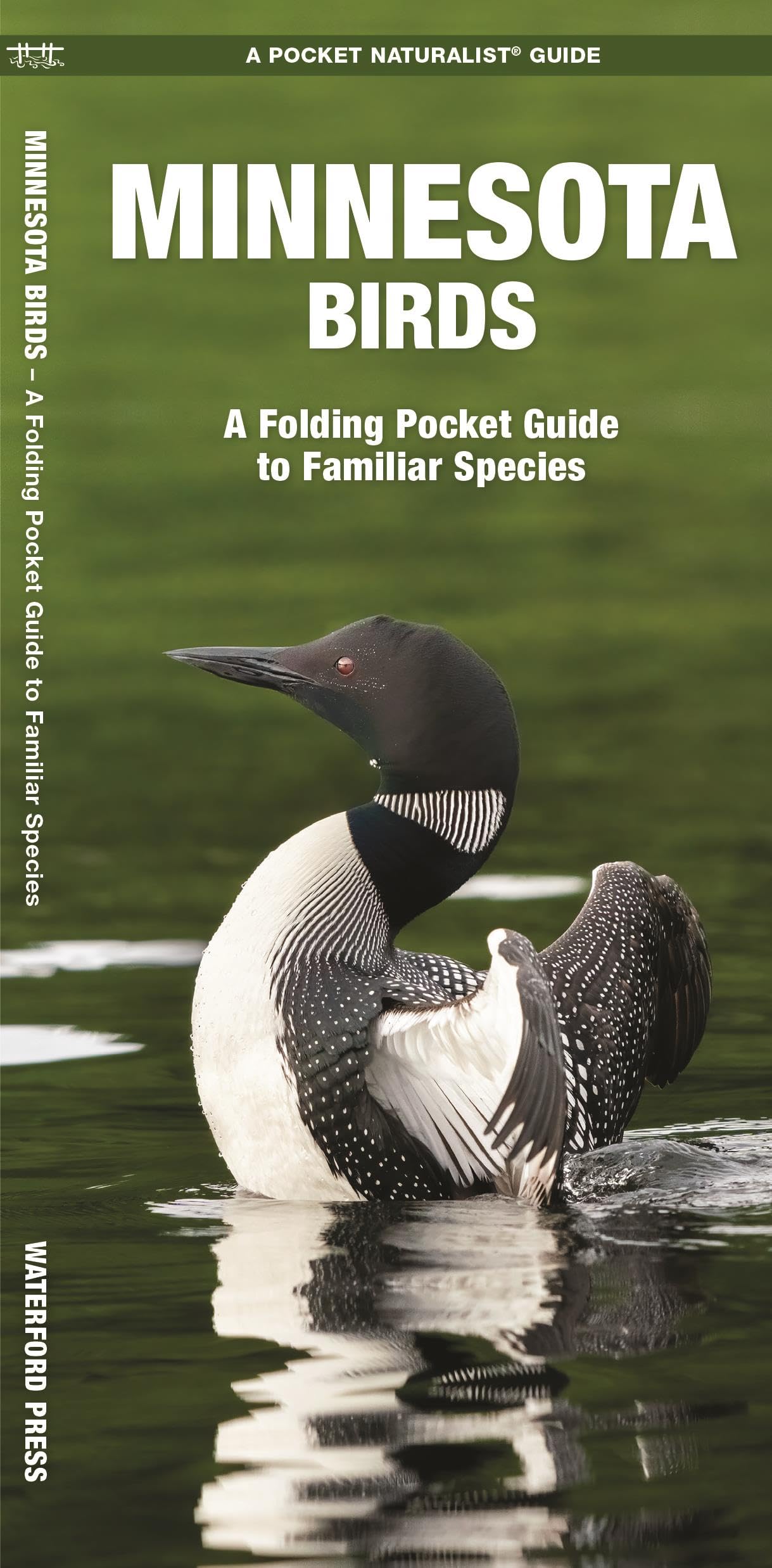Minnesota Birds: A Folding Pocket Guide to Familiar Species (Wildlife and Nature Identification),Used